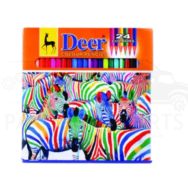 deer color pencils