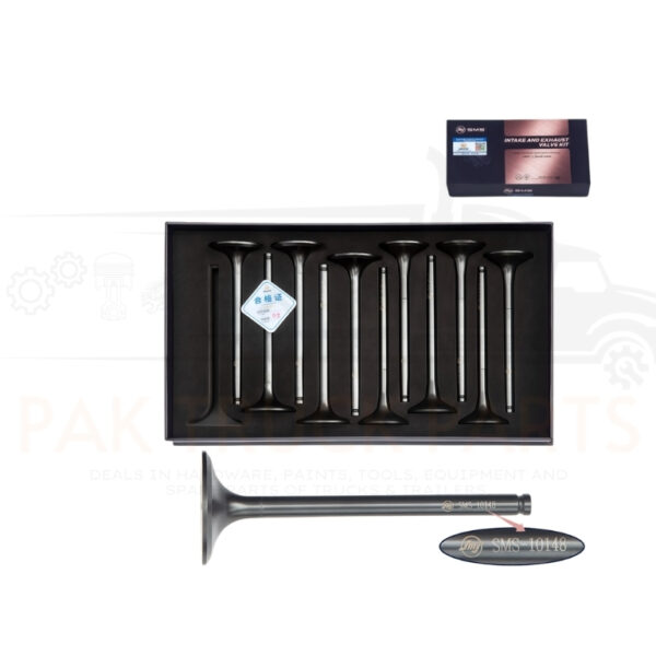 diesel truck intake & exhaust valve kit