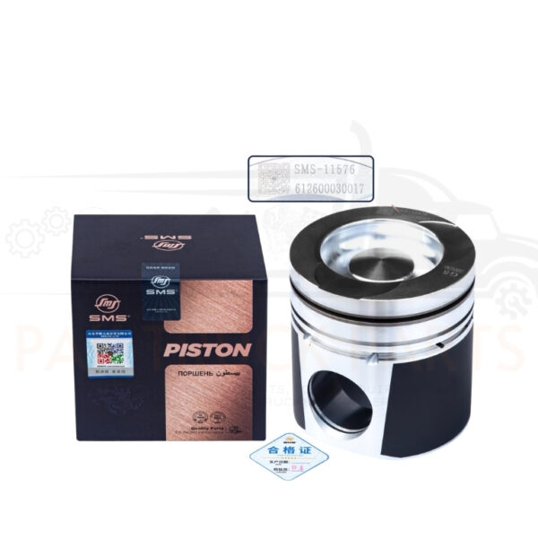 sinotruk pistons